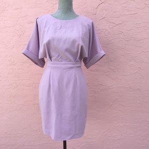 ASOS Lilac Short Sleeve Sheath Dress